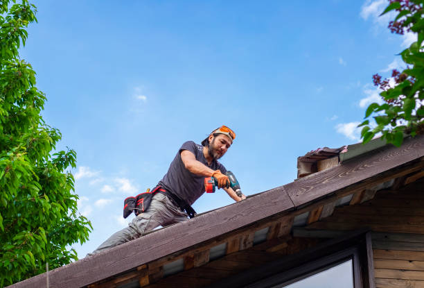 Best Gutter Installation and Repair  in Monroe, GA